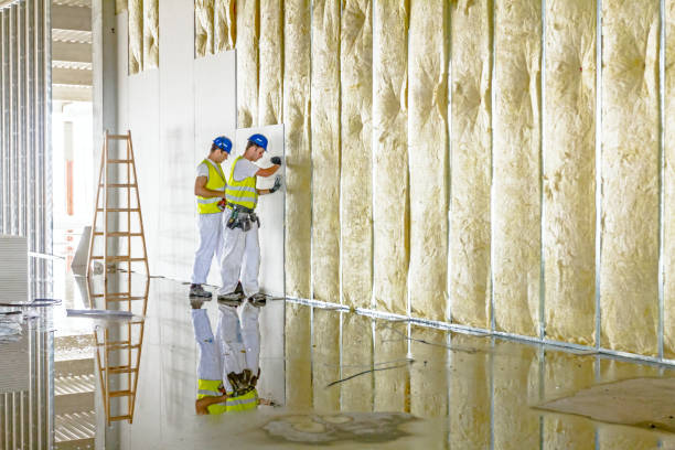 Best Insulation Installation Services in Crystal City, TX